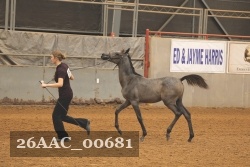 26AAC_00681 proof