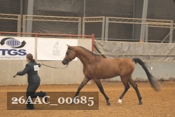 26AAC_00685 proof