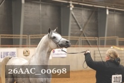 26AAC_00698 proof