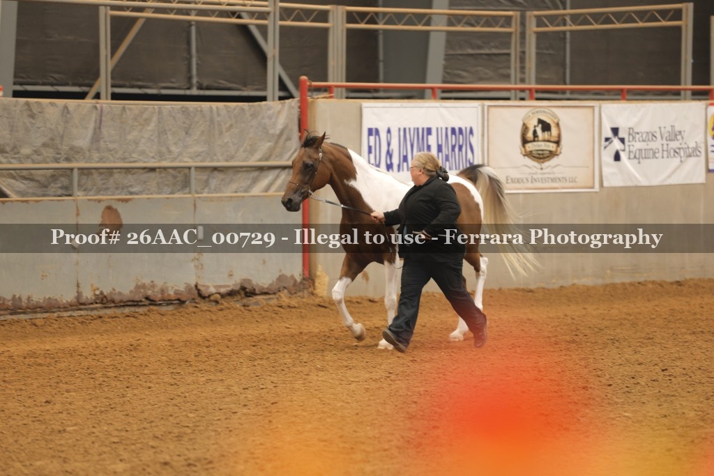 Proof 26AAC_00729