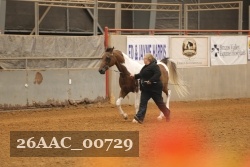 26AAC_00729 proof