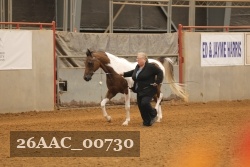 26AAC_00730 proof