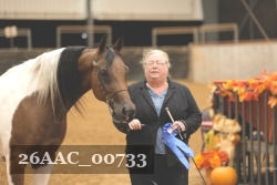26AAC_00733 proof