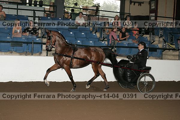 Proof r14-04_0391