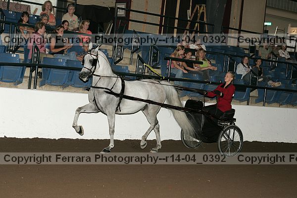 Proof r14-04_0392