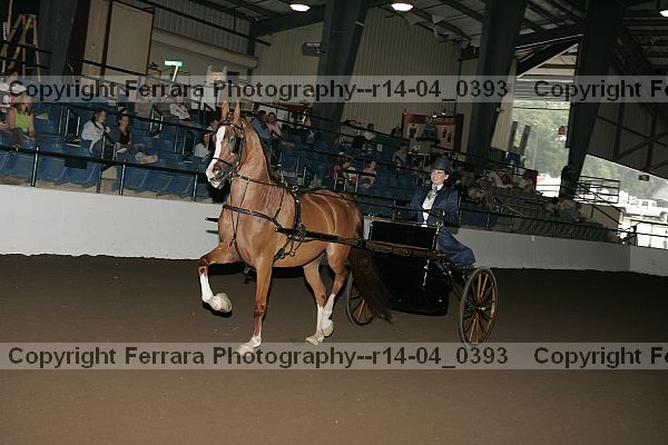 Proof r14-04_0393
