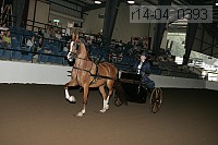 r14-04_0393 proof