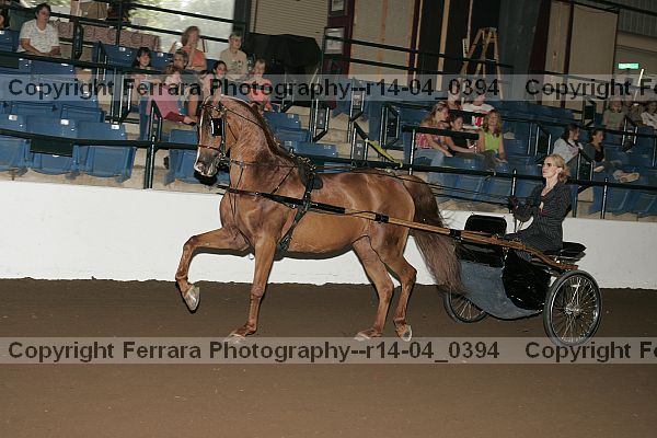 Proof r14-04_0394