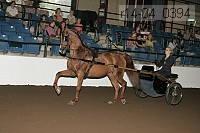 r14-04_0394 proof