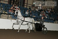 r14-04_0395 proof