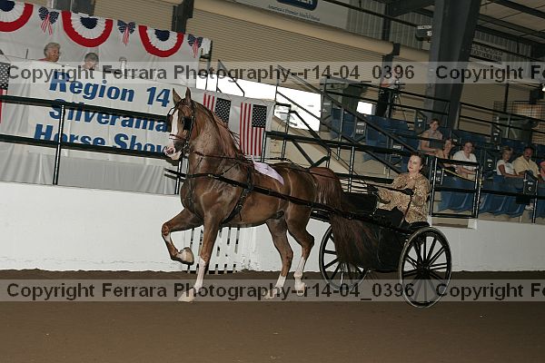 Proof r14-04_0396