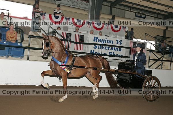 Proof r14-04_0401