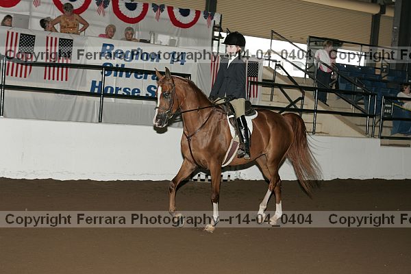 Proof r14-04_0404