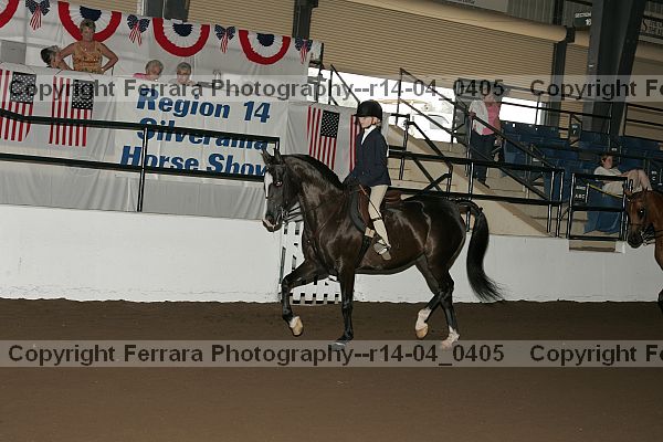 Proof r14-04_0405