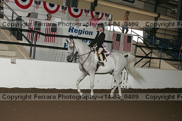 Proof r14-04_0409