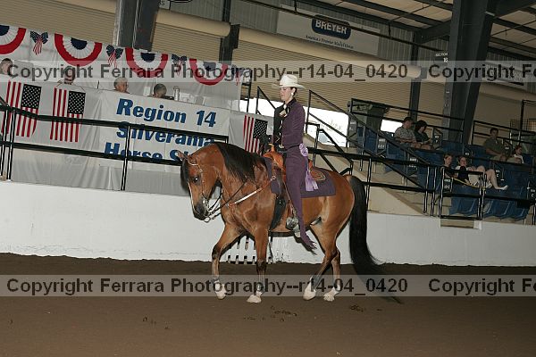 Proof r14-04_0420