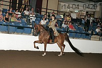 r14-04_0429 proof