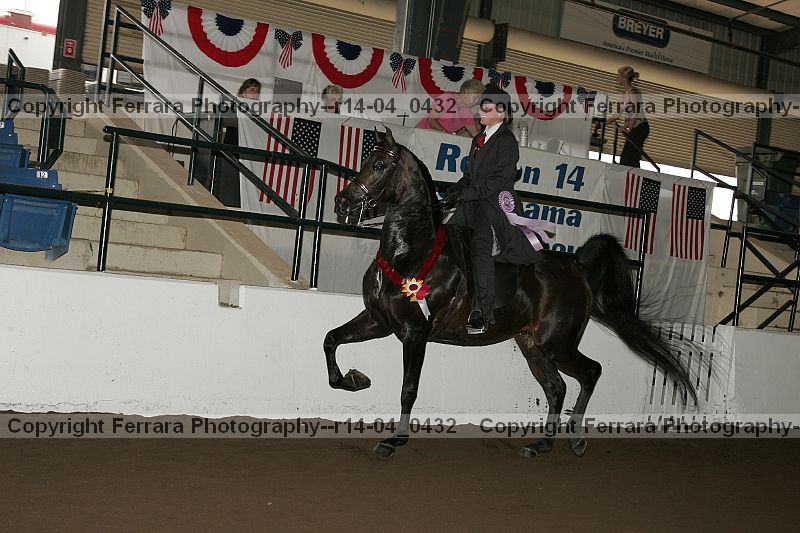 Proof r14-04_0432