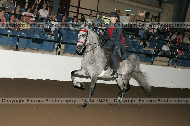 Proof r14-04_0435