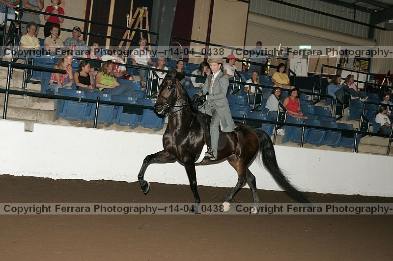 Proof r14-04_0438