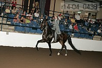 r14-04_0438 proof