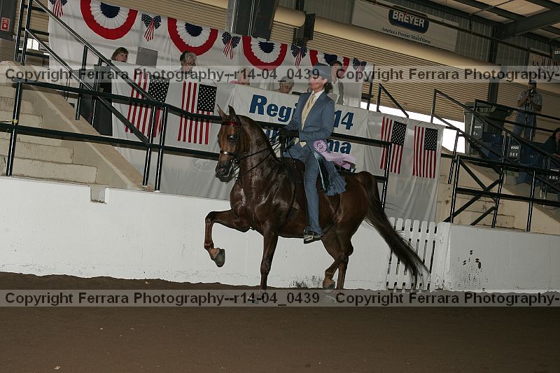 Proof r14-04_0439
