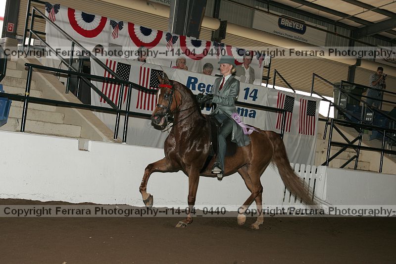 Proof r14-04_0440