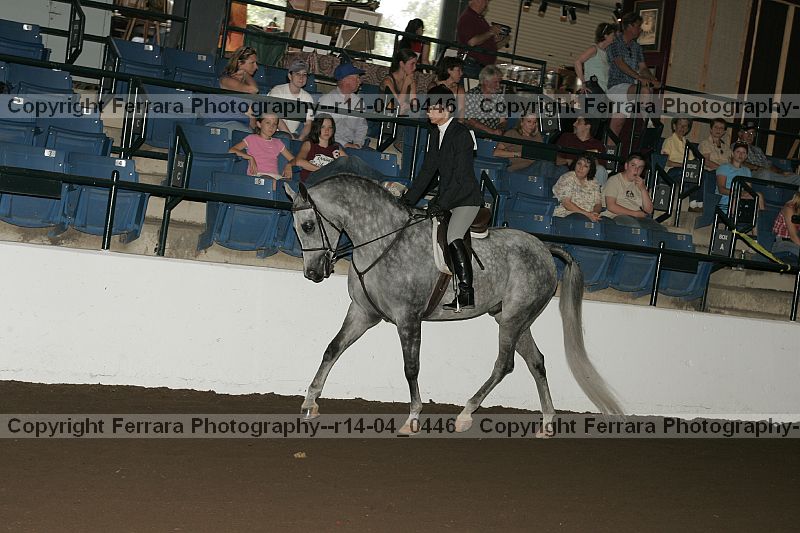 Proof r14-04_0446