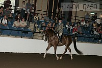 r14-04_0450 proof