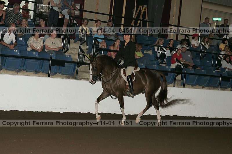 Proof r14-04_0451