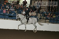 r14-04_0454 proof