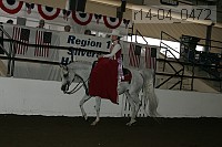r14-04_0472 proof