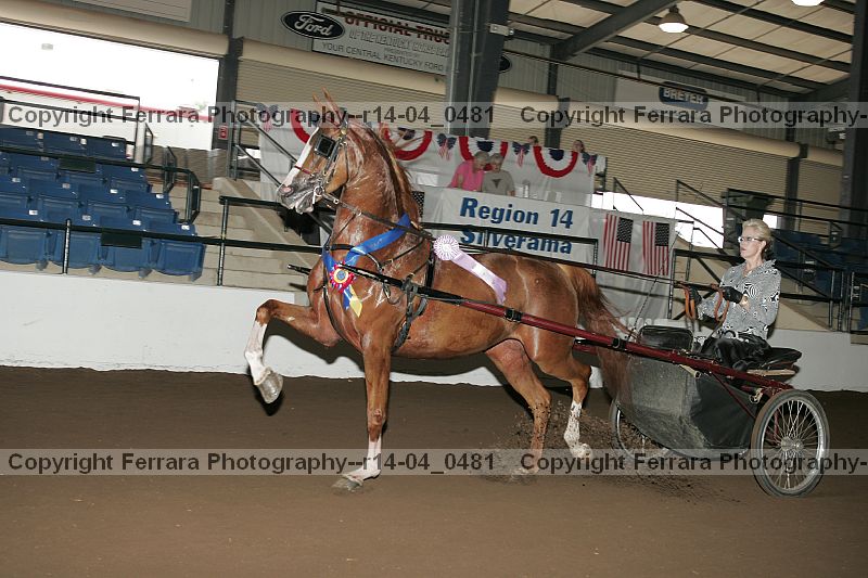 Proof r14-04_0481