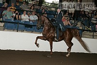 r14-04_0497 proof
