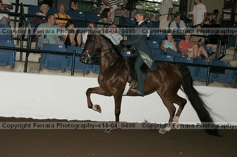 Proof r14-04_0498
