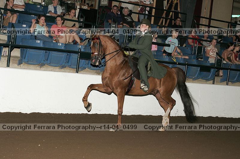 Proof r14-04_0499