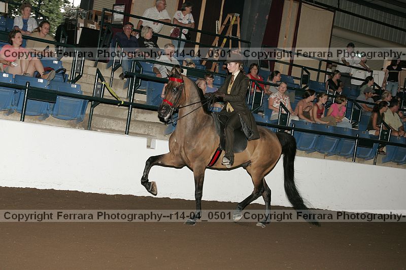Proof r14-04_0501