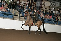 r14-04_0501 proof