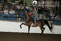 r14-04_0502 proof