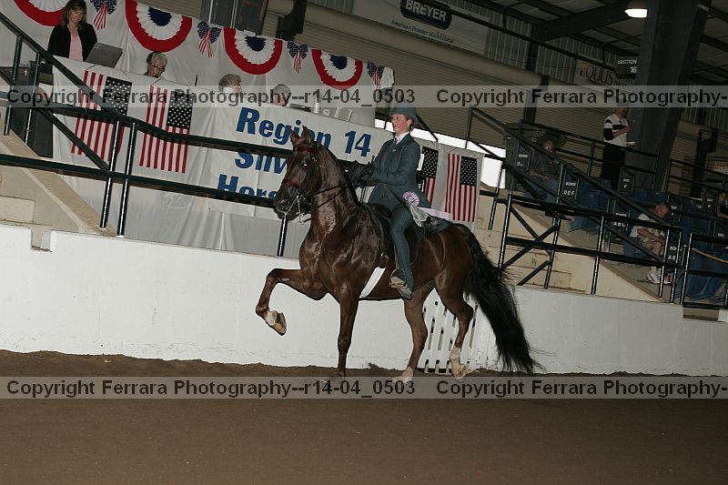 Proof r14-04_0503