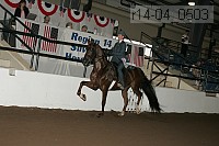 r14-04_0503 proof