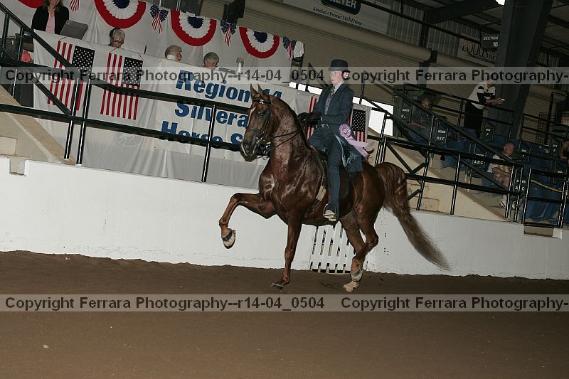 Proof r14-04_0504
