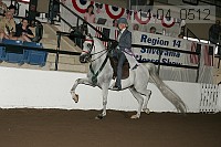 r14-04_0512 proof