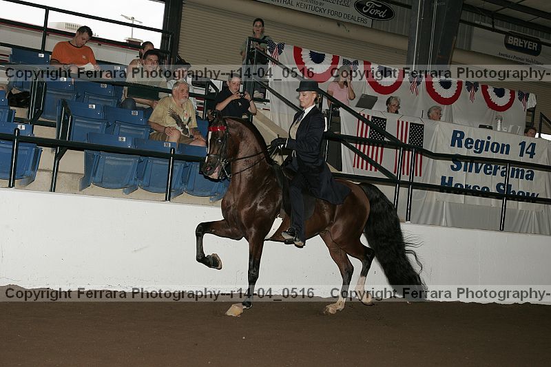 Proof r14-04_0516