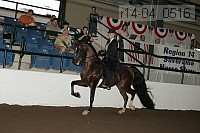 r14-04_0516 proof