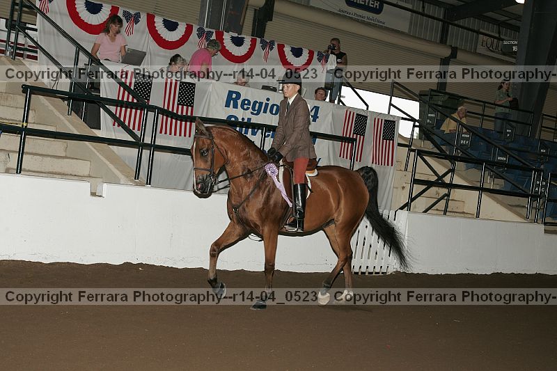 Proof r14-04_0523