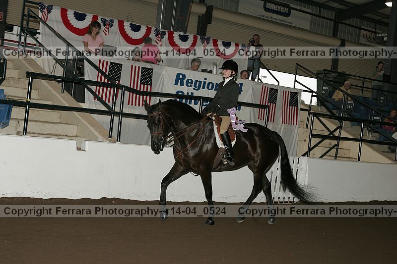 Proof r14-04_0524