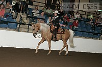 r14-04_0536 proof