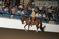 r14-04_0555 proof