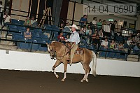 r14-04_0590 proof